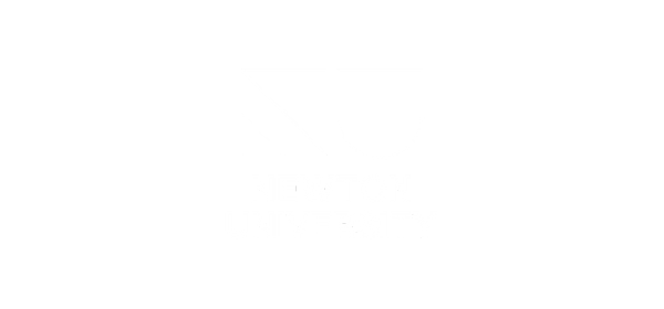Newton University